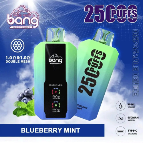 Bang 25000 Puffs Disposable Vape Device-Blueberry Mint