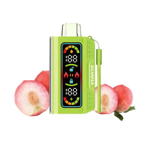 Silvaper 20k Puffs Disposable Vape Device