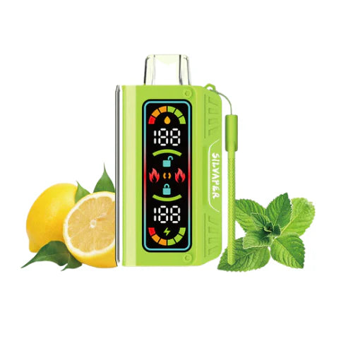 Silvaper 20k Puffs Disposable Vape Device