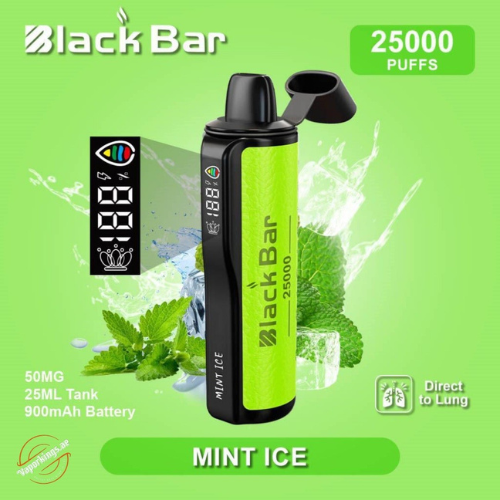 Black Bar 25000 Puffs Disposable Vape Device -Mint Ice