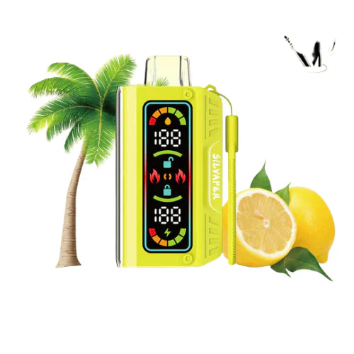 Silvaper 20k Puffs Disposable Vape Device